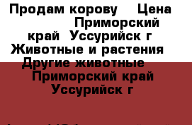 Продам корову  › Цена ­ 70 000 - Приморский край, Уссурийск г. Животные и растения » Другие животные   . Приморский край,Уссурийск г.